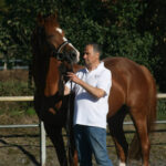 Le Chevalier